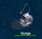 gungua.jpg