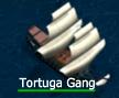 tortuga.jpg